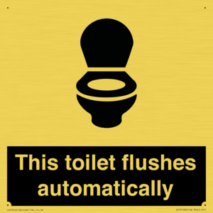 This toilet flushes automatically